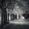 Path
