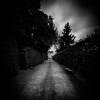 Path III