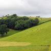 Cut out hill