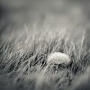 f1.4