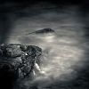 Light for drowned